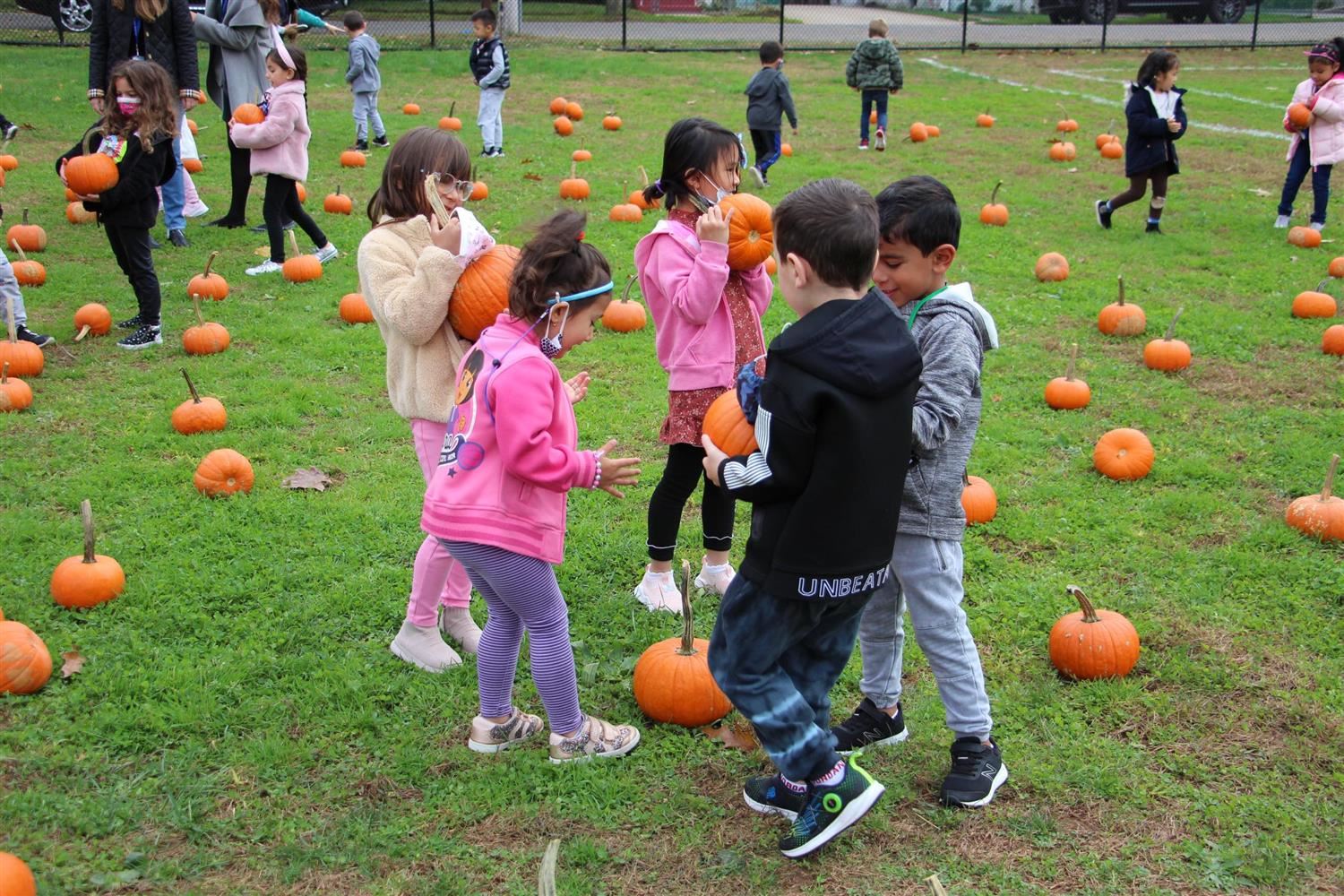  Pumpkin Picking